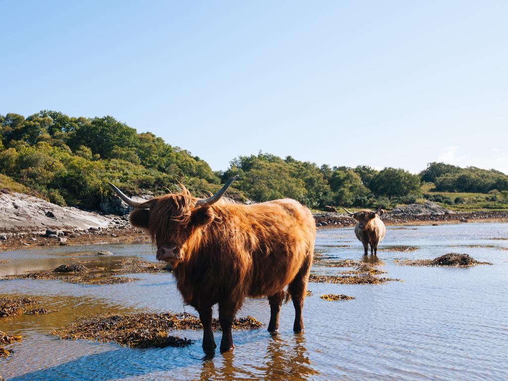 Shenavallie Farm Benderloch Екстериор снимка
